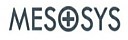 메조시스
